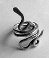 Ring-snake